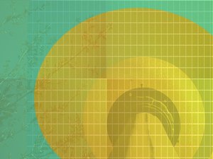 企业服务定制化需求：如何实现个性配置